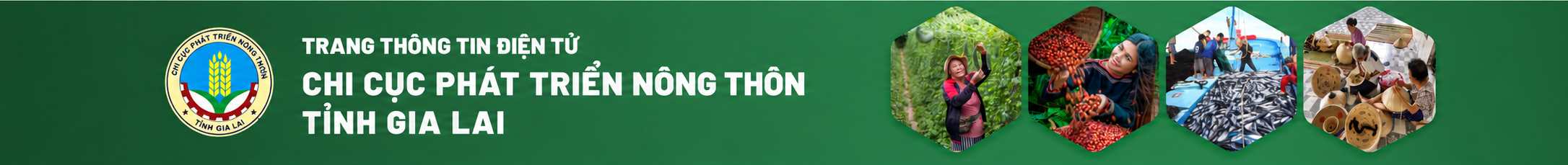Chi cục Phát triển nông thôn tỉnh Gia Lai